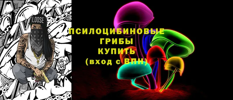 где найти   Астрахань  Псилоцибиновые грибы Cubensis 